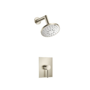 Flusso Single Output Shower Set With ABS Shower Head & Arm In Brushed Nickel