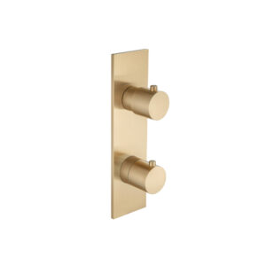 Isenberg Trim For Thermostatic Valve In Brushed Bronze