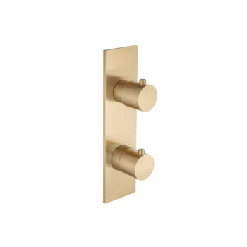 Isenberg Trim For Thermostatic Valve In Brushed Bronze