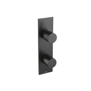 Isenberg Trim For Thermostatic Valve In Matte Black