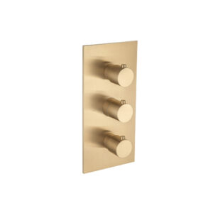 Isenberg Trim For Thermostatic Valve In Brushed Bronze