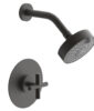 Phylrich TRANSITION – Pressure Balance Shower Set – Cross Handle 120-21 – Oil Rubbed Bronze