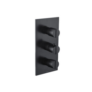Isenberg Trim For Thermostatic Valve In Matte Black