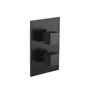Isenberg Trim For Thermostatic Valve In Matte Black