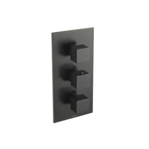 Isenberg Trim For Thermostatic Valve In Matte Black