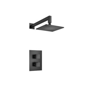 Flusso Single Output Shower Set With Shower Head And Arm In Matte Black