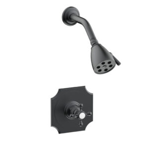 Phylrich HENRI Pressure Balance Shower Set Cross Handle 161-21 – Gun Metal
