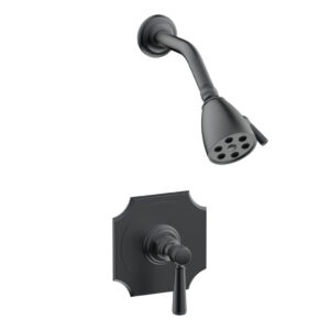 Phylrich HENRI Pressure Balance Shower Set Lever Handle 161-22 – Gun Metal