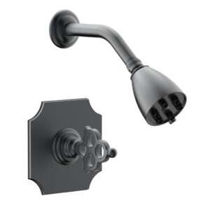 Phylrich MAISON Pressure Balance Shower Set 164-21 – Gun Metal