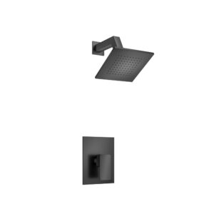 Flusso Single Output Shower Set With Brass Shower Head & Arm In Matte Black