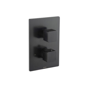 Isenberg Trim For Thermostatic Valve In Matte Black
