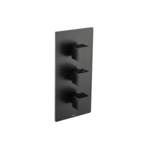 Isenberg Trim For Thermostatic Valve In Matte Black