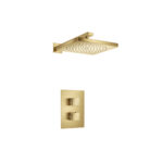 Flusso Single Output Shower Set With Shower Head And Arm In Satin Brass