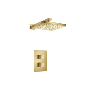 Flusso Single Output Shower Set With Shower Head And Arm In Satin Brass