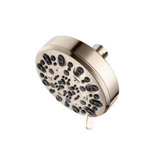 Isenberg 6-Function ABS Showerhead In Polished Nickel