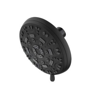 Isenberg 6-Function ABS Shower Head In Matte Black