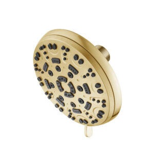 Isenberg 6-Function ABS Shower Head In Satin Brass