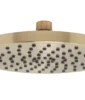 Huntington Brass Joy 8″ Rain Head In PVD Satin Brass