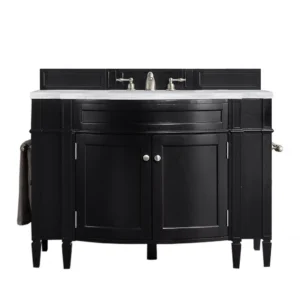 Brittany 46″ Single Vanity, Black Onyx w/ 3 CM Arctic Fall Solid Surface Top