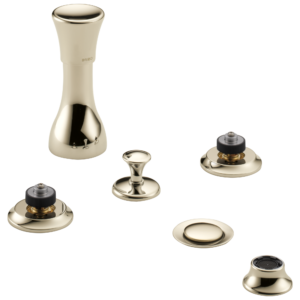 Brizo Rook®: Bidet Faucet – Less Handles In Polished Nickel