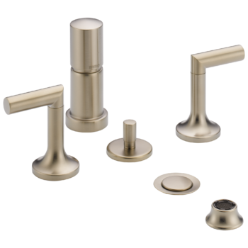 Brizo Odin®: Bidet In Brushed Nickel
