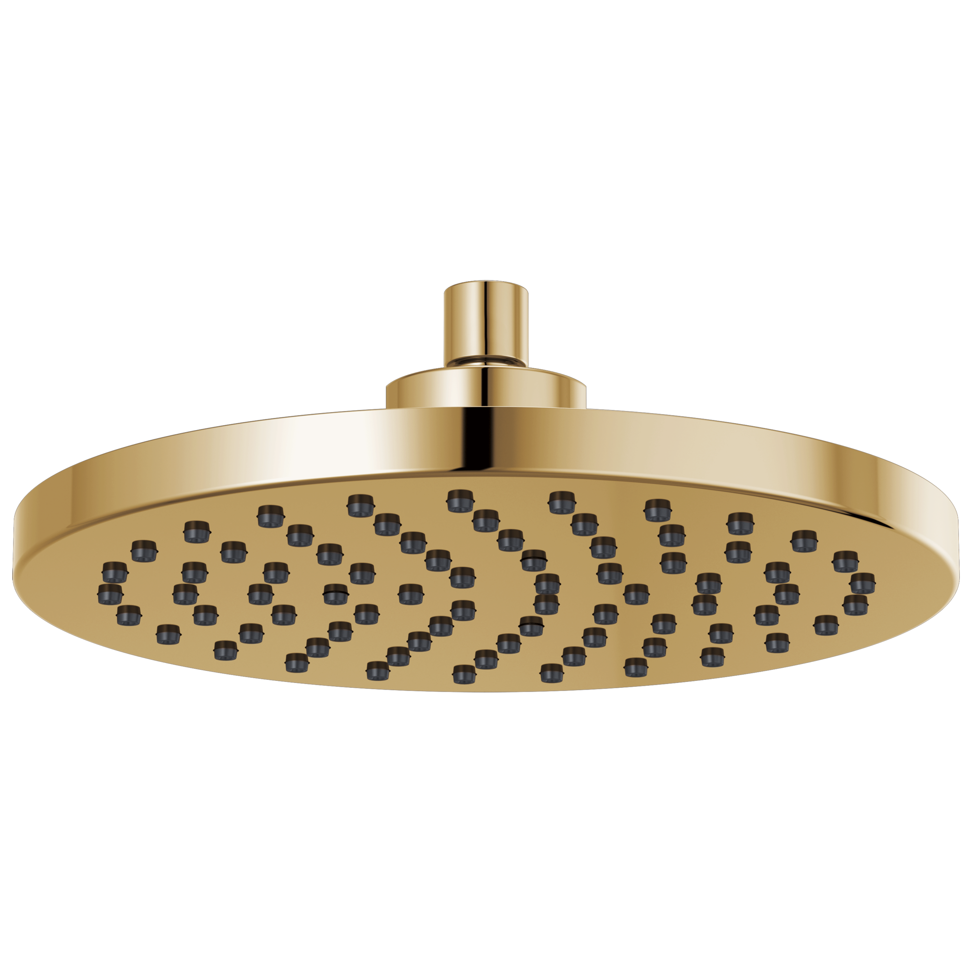 Brizo Essential™ Shower: 10" Linear Round Single-Function Raincan Shower Head - 2.5 GPM In Polished Gold
