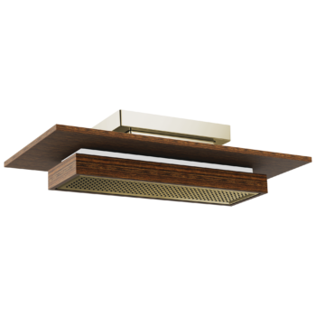 Brizo Frank Lloyd Wright®: 21” Single-Function Raincan Shower Head with Integrated Lighting - 2.5 GPM In Polished Nickel Wood