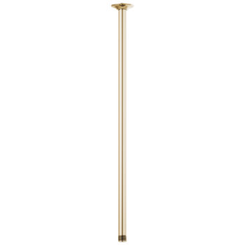 Brizo Essential™ Shower: 24" Ceiling Mount Shower Arm And Round Flange In Polished Gold