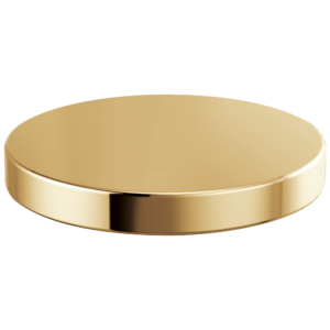Brizo Rook®: Hole Cover In Polished Gold