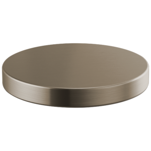 Brizo Litze®: Hole Cover In Stainless
