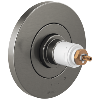 Brizo Litze®: Tempassure® Thermostatic Valve Only Trim - Less Handles In Luxe Steel