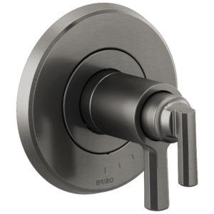 Brizo Levoir™: Tempassure® Thermostatic Valve Only Trim In Luxe Steel