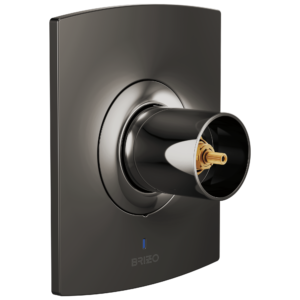 Brizo Kintsu®: Pressure Balance Valve Only Trim – Less Handle In Brilliance Black Onyx