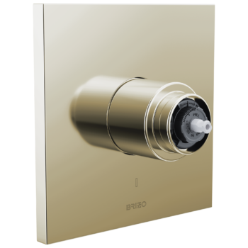 Brizo Frank Lloyd Wright®: Pressure Balance Valve Only Trim - Less Handle In Polished Nickel