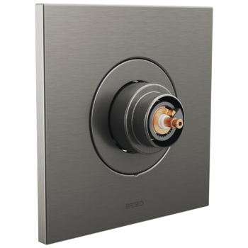 Brizo Frank Lloyd Wright®: Sensori® Thermostatic Valve Trim - Less Handle In Luxe Steel