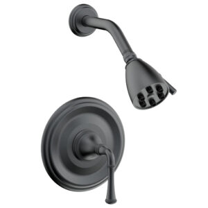Phylrich COINED Pressure Balance Shower Set – Lever Handle 208-21 – Gun Metal