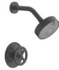 Phylrich WORKS Pressure Balance Shower Set – Cross Handle 220-21 – Gun Metal
