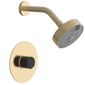 Phylrich BASIC II Pressure Balance Shower Set – Black Marble 230-23 – Satin Brass
