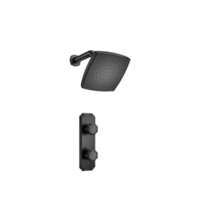 Flusso Single Output Shower Set With Shower Head And Arm In Matte Black