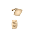 Flusso Single Output Shower Set With Shower Head And Arm In Brushed Bronze