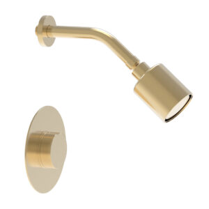 Phylrich CIRC – Pressure Balance Shower Set – Round Handle 250-21 – Satin Brass