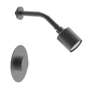 Phylrich CIRC – Pressure Balance Shower Set – Round Handle 250-21 – Gun Metal