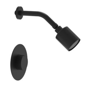 Phylrich CIRC – Pressure Balance Shower Set – Round Handle 250-21 – Matte Black
