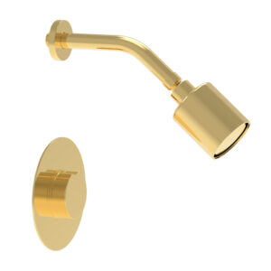Phylrich CIRC – Pressure Balance Shower Set – Round Handle 250-21 – Polished Gold