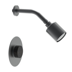 Phylrich CIRC – Pressure Balance Shower Set – Black Marble Handle 250-23 – Gun Metal