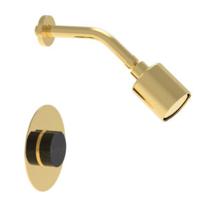 Phylrich CIRC – Pressure Balance Shower Set – Black Marble Handle 250-23 – Polished Gold