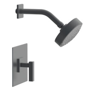 Phylrich CROI – Pressure Balance Shower Set – Lever Handle 255-22 – Gun Metal