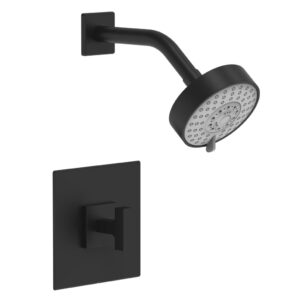 Phylrich CROI – Pressure Balance Shower Set – Lever Handle 255-22 – Matte Black