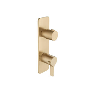 Isenberg Trim For Thermostatic Valve In Brushed Bronze