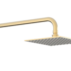 Phylrich 8″ Square Shower Head 3-558 – Satin Brass